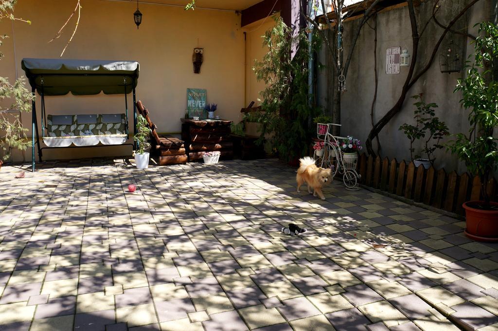 בוקרשט Collosal Apartment With Garden מראה חיצוני תמונה