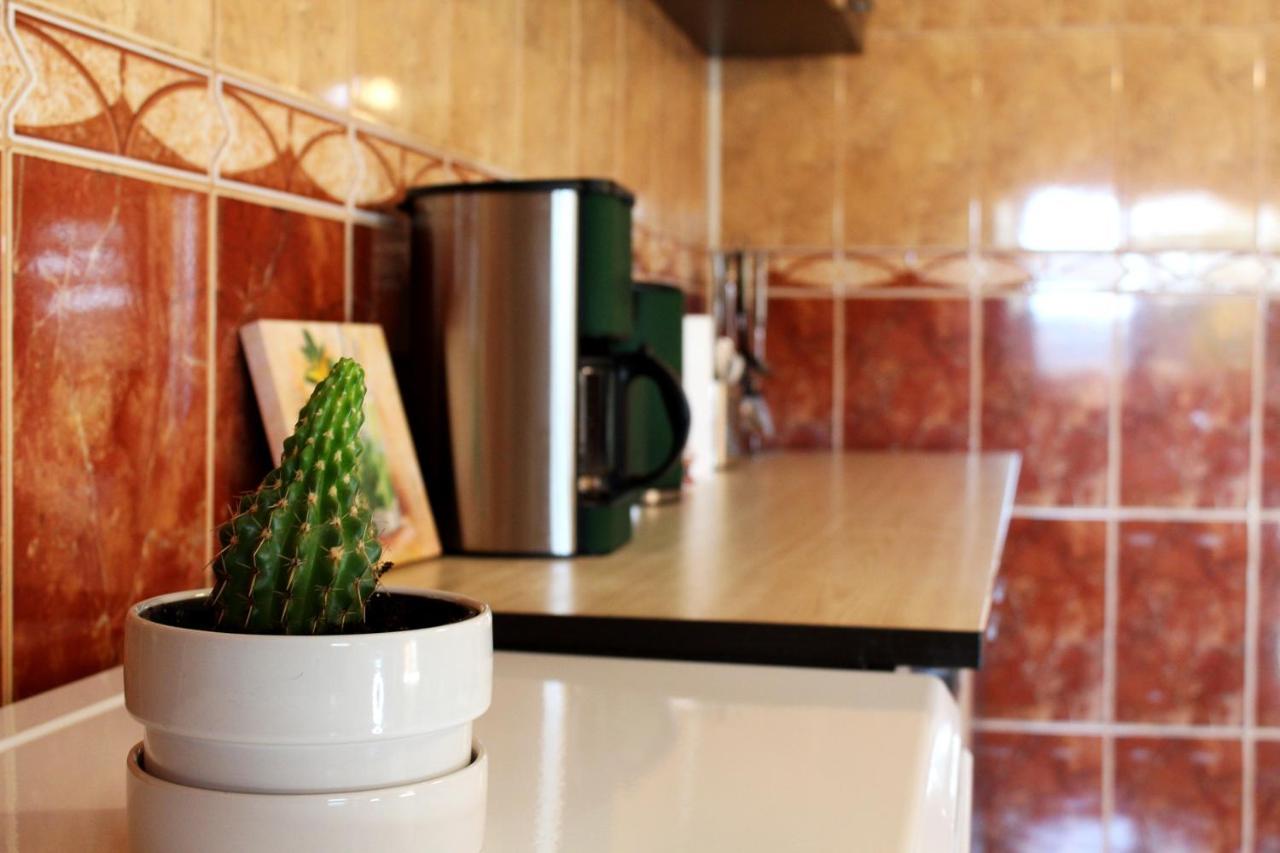 בוקרשט Collosal Apartment With Garden מראה חיצוני תמונה
