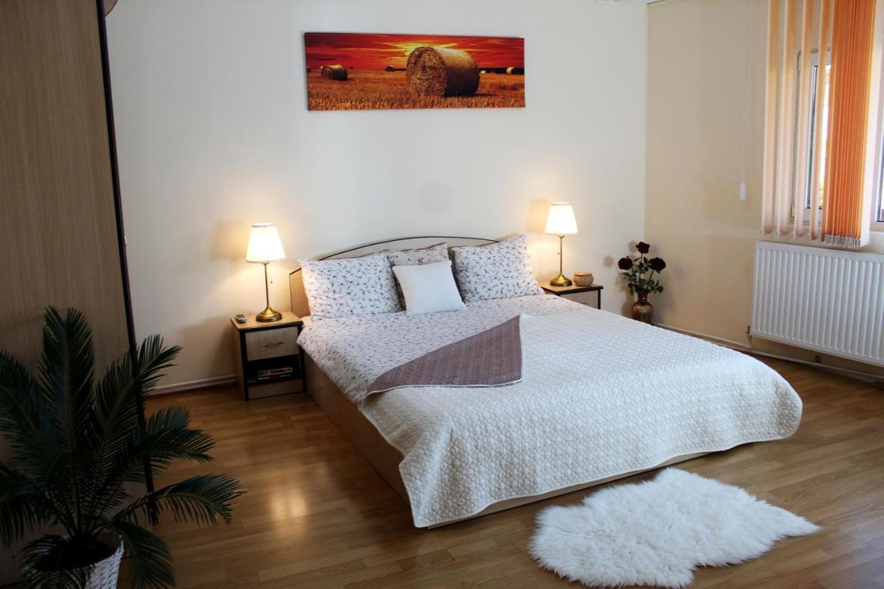 בוקרשט Collosal Apartment With Garden מראה חיצוני תמונה