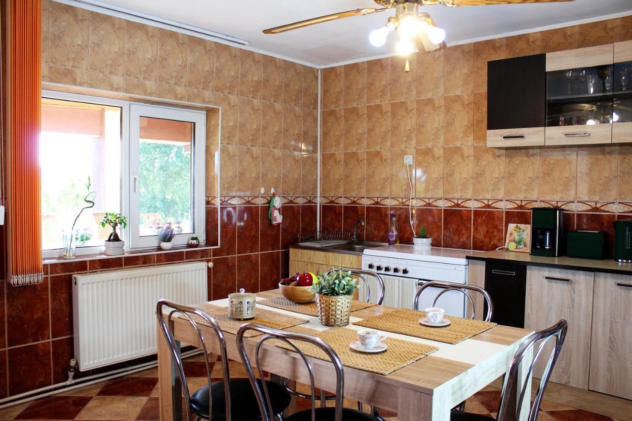 בוקרשט Collosal Apartment With Garden מראה חיצוני תמונה