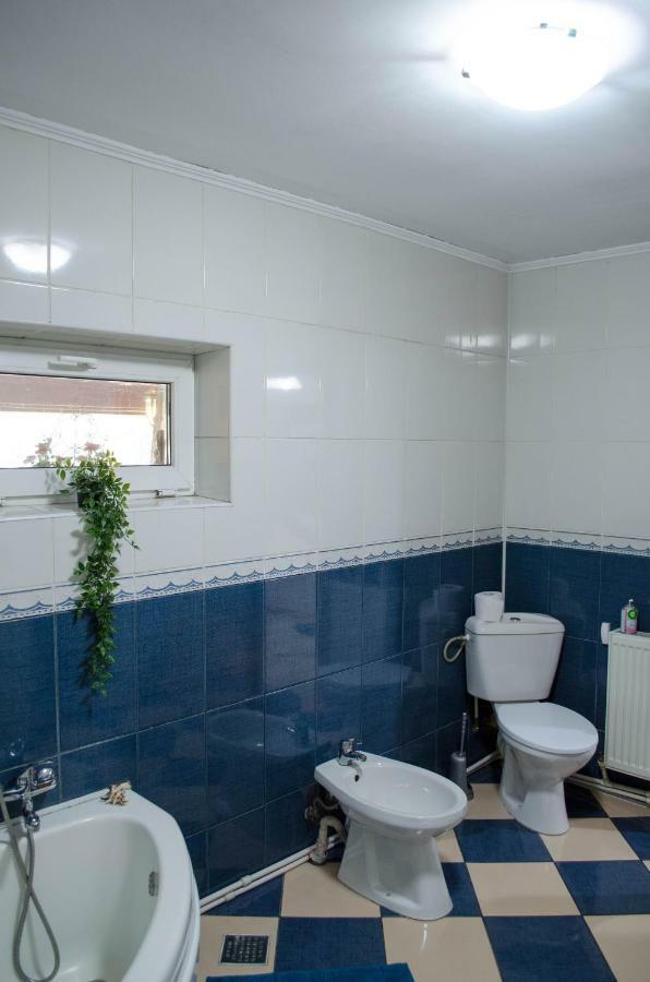 בוקרשט Collosal Apartment With Garden מראה חיצוני תמונה